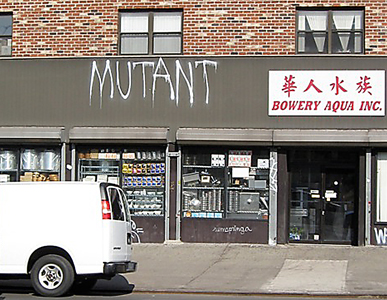 mutant at bowery and delancy